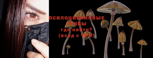прущий лед Магас