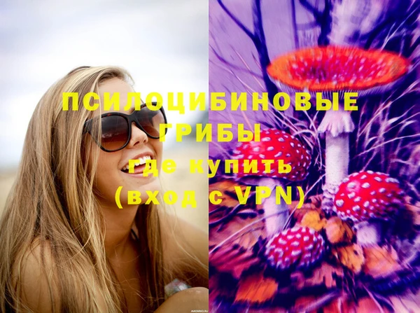 шишки Нея