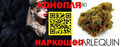 PSILOCYBIN Канаш