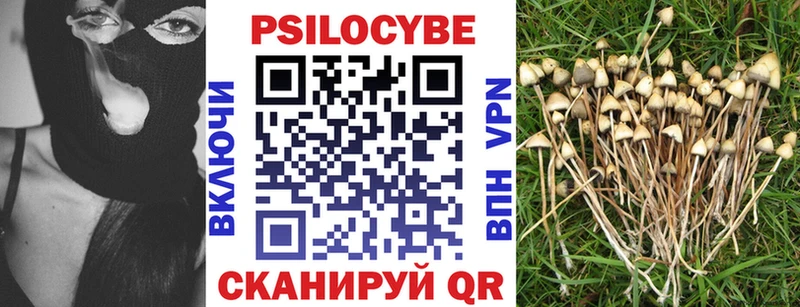 omg ссылка  Новороссийск  Галлюциногенные грибы ЛСД 