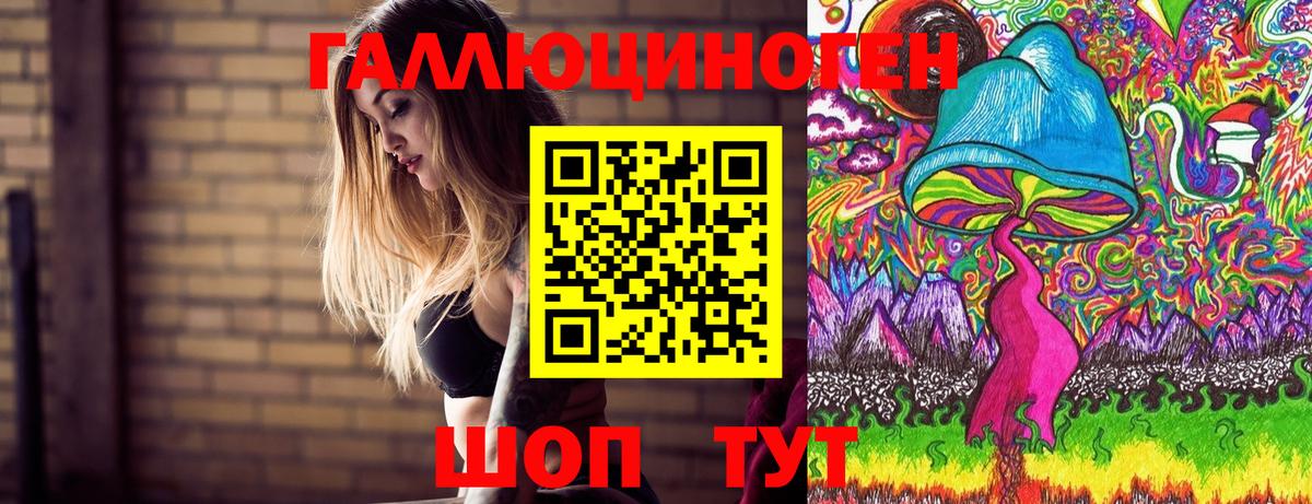ГАШ Новороссийск