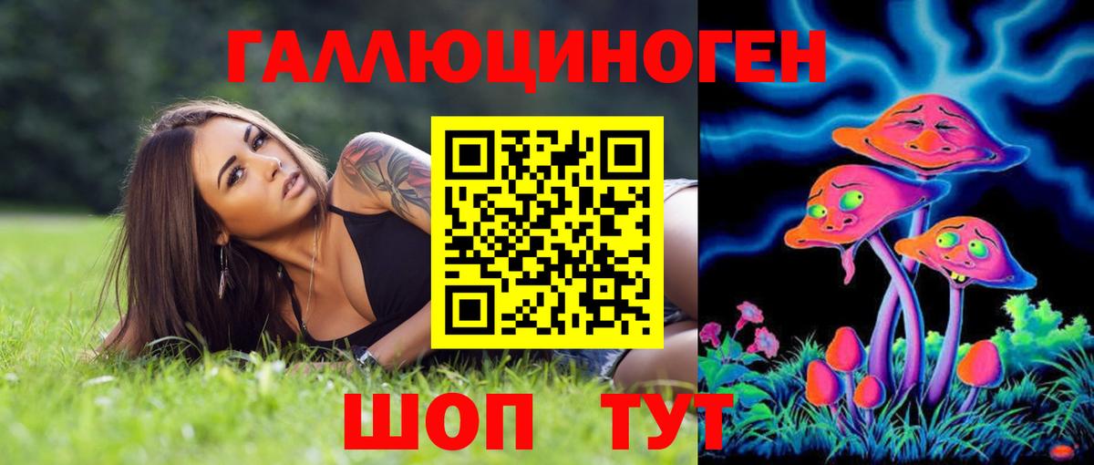 Новороссийск  Галлюциногенные грибы Psilocybe  Вход с VPN 