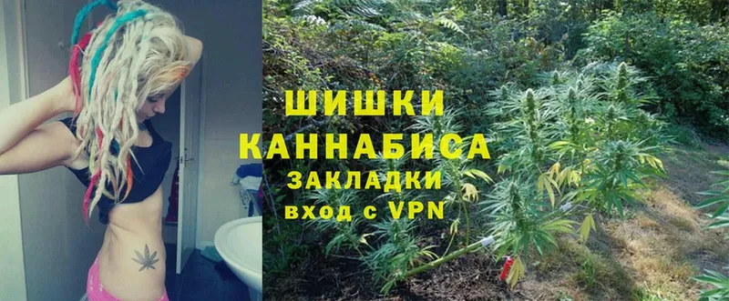 Конопля Amnesia  blacksprut зеркало  Новороссийск 