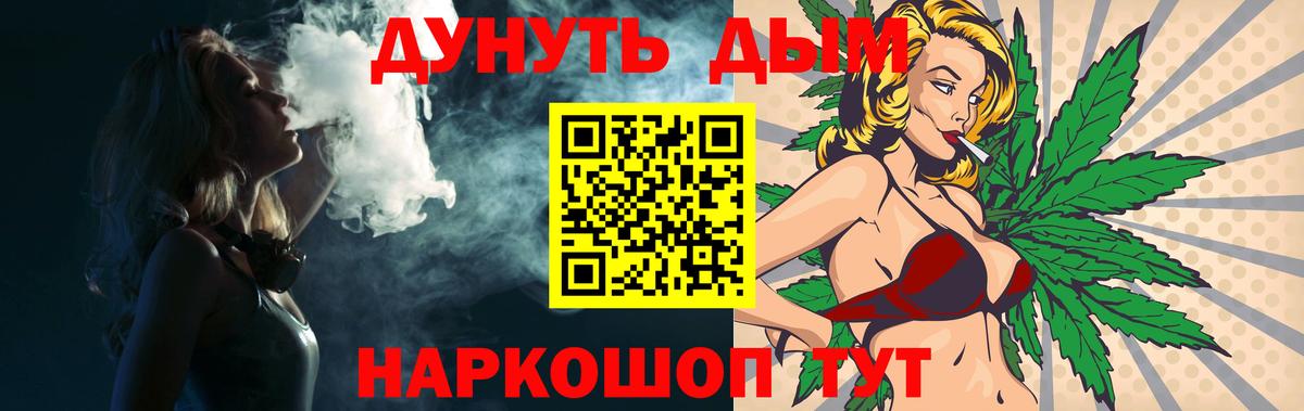 Конопля марихуана Новороссийск